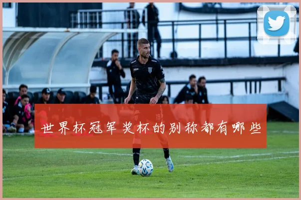 世界杯冠军奖杯的别称都有哪些