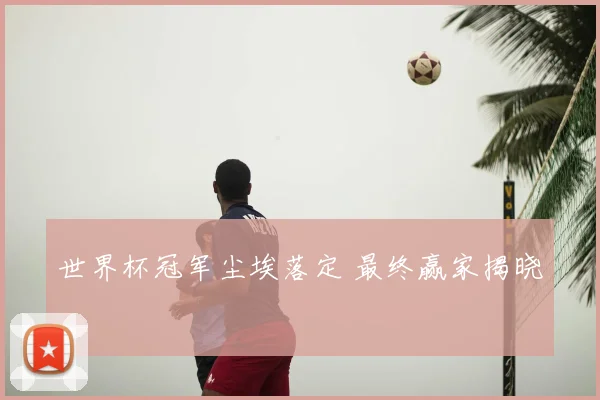 世界杯冠军尘埃落定 最终赢家揭晓