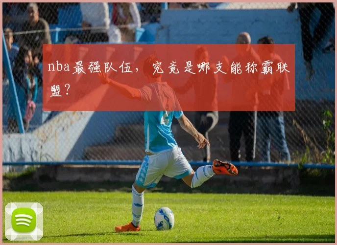 nba最强队伍，究竟是哪支能称霸联盟？