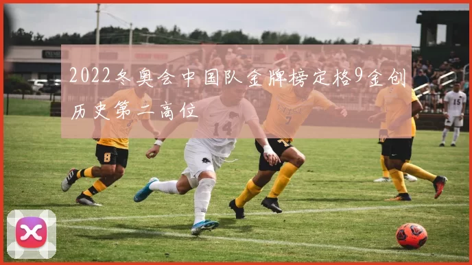2022冬奥会中国队金牌榜定格9金创历史第二高位