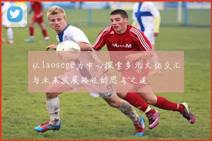 以laosege为中心探索多元文化交汇与未来发展路径的思考之道