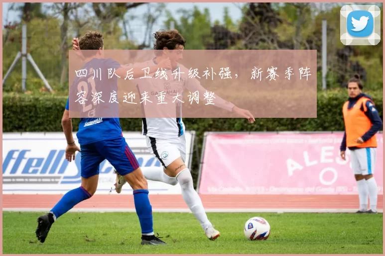 四川队后卫线升级补强，新赛季阵容深度迎来重大调整