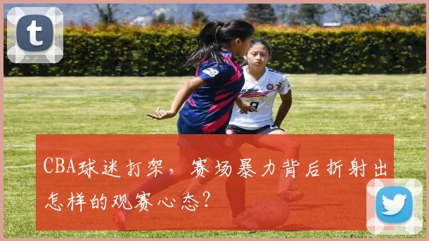 CBA球迷打架，赛场暴力背后折射出怎样的观赛心态？